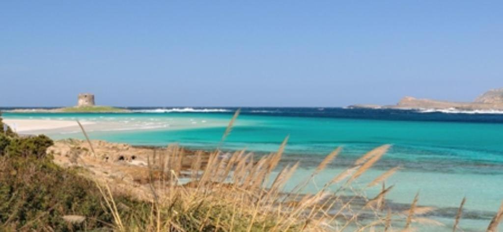 Appartamento La Pelosa Stintino Bagian luar foto